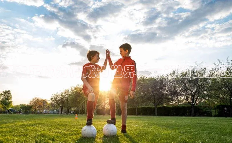 门徒拉菲9注册链接百度百聘探究足球为何成为世界第一运动的原因