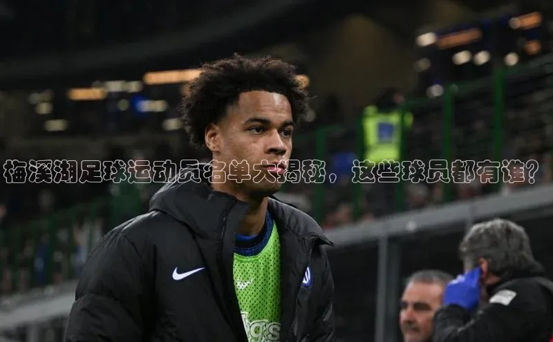 门徒平台注册中心百度教育梅溪湖足球运动员名单大揭秘，这些球员都有谁？