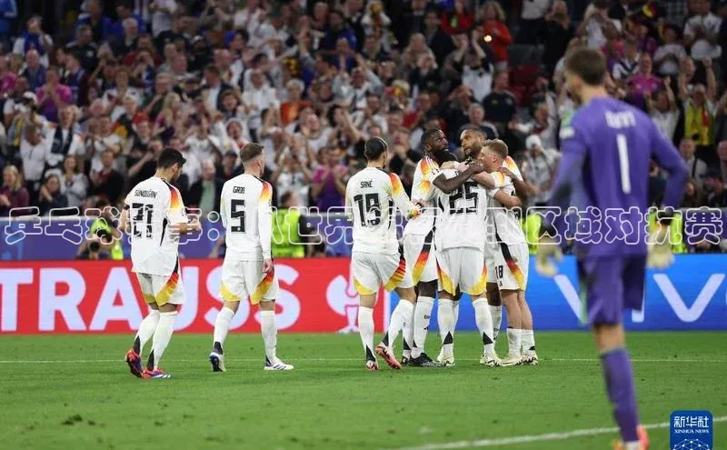 乒乓球赛事：从世界锦标赛到区域对抗赛