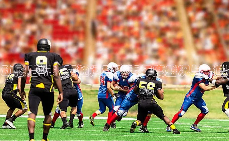 动感启航：南通运动赛事年度盛况与展望