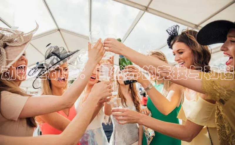 动物运动会：自然界的竞技与和谐