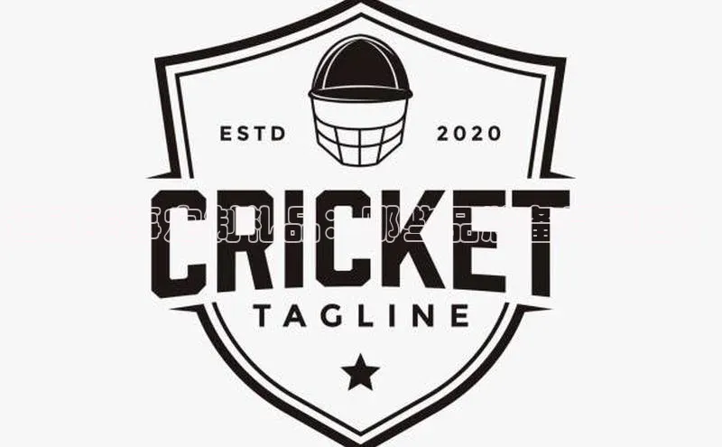 运动赛事定制礼品：哪些品牌备受瞩目？