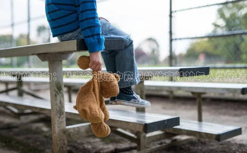 运动的魅力：从赛会记录中窥见的体育精神与人类团结