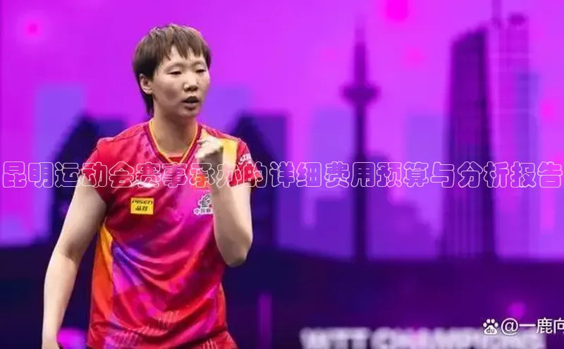 昆明运动会赛事承办的详细费用预算与分析报告