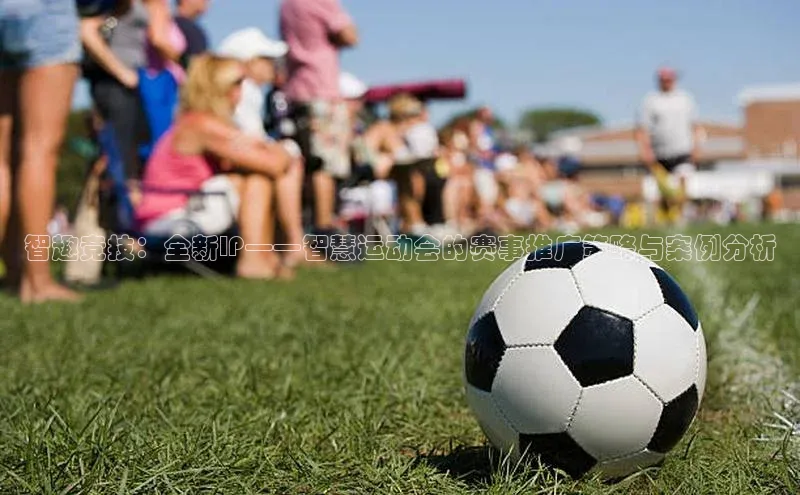 智趣竞技：全新IP——智慧运动会的赛事推广策略与案例分析