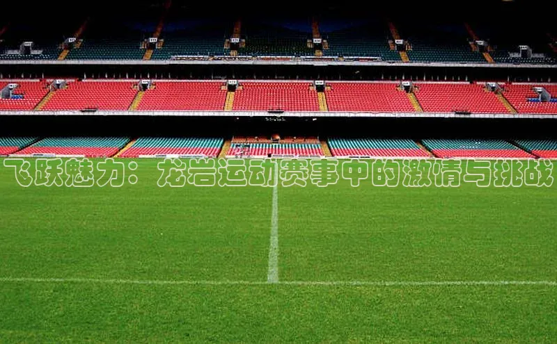 飞跃魅力：龙岩运动赛事中的激情与挑战
