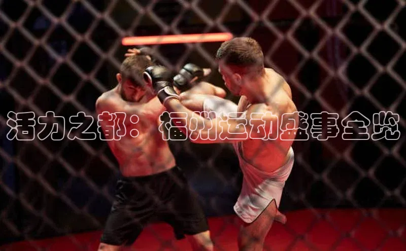 活力之都：福州运动盛事全览