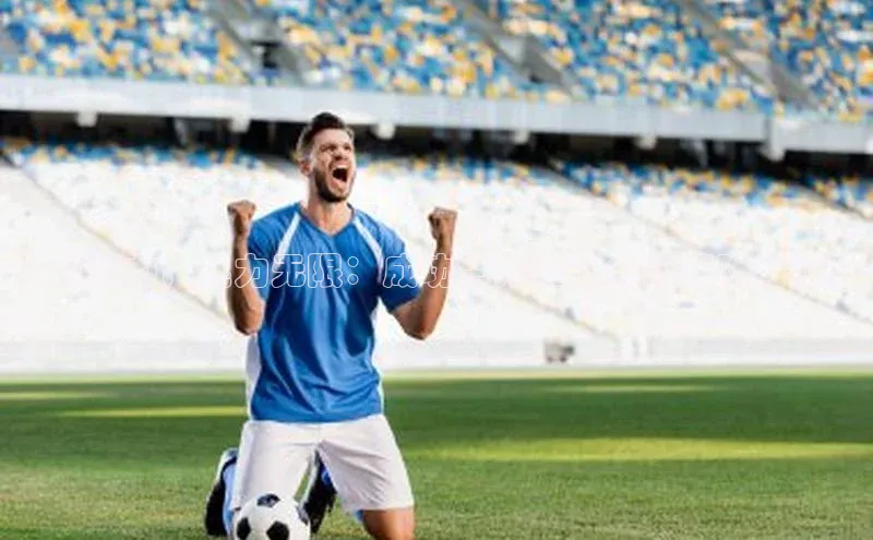 激发活力，魅力无限：成功举办运动会的策略与技巧