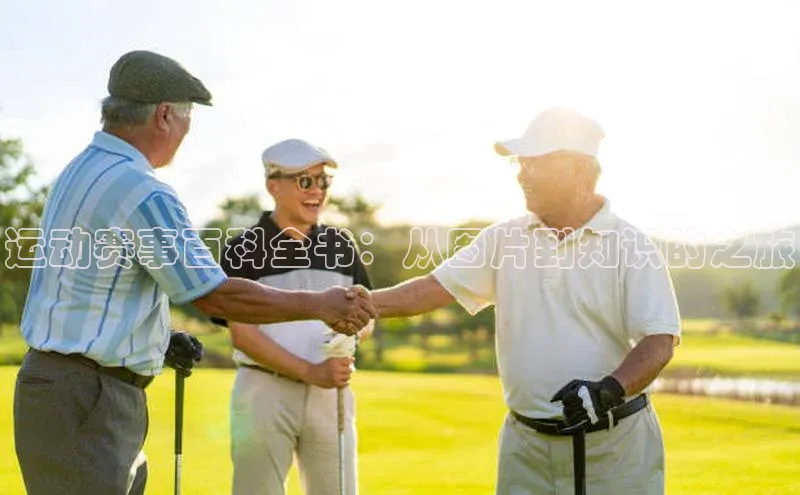 运动赛事百科全书：从图片到知识的之旅