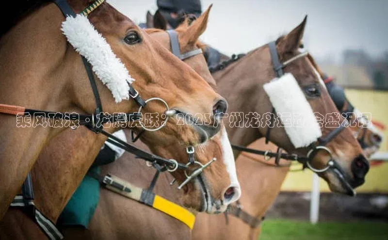 乘风破浪·龙腾虎跃：2023广州龙舟运动会盛况记